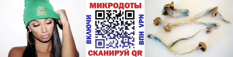Галлюциногенные грибы Psilocybe  Муром 