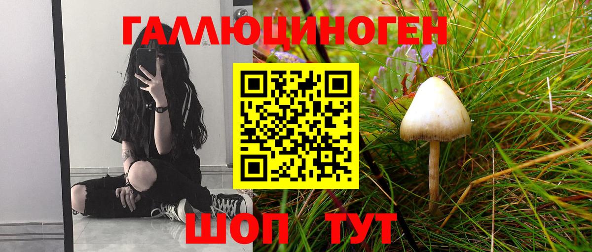 Галлюциногенные грибы Psilocybine cubensis Муром