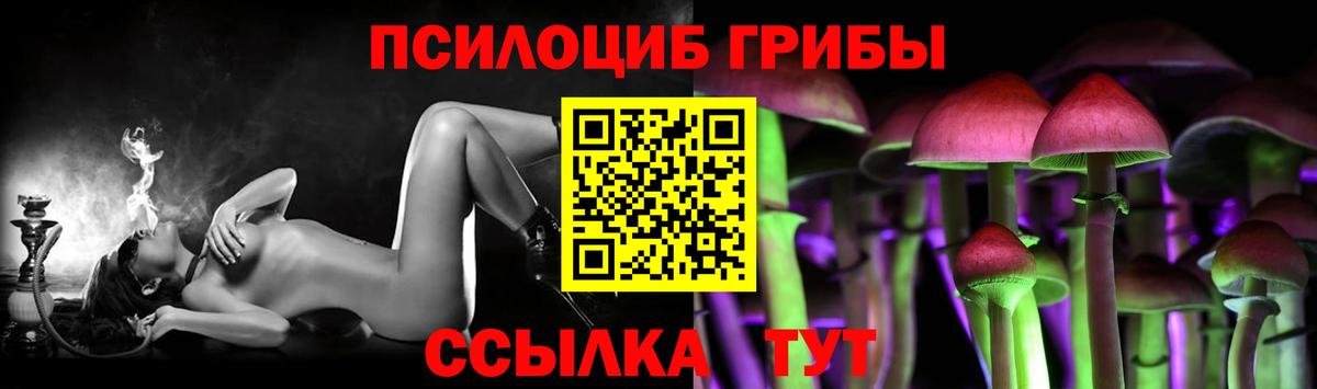 Псилоцибиновые грибы Cubensis  Галлюциногенные грибы GOLDEN TEACHER  цена   Вход с VPN  Муром 